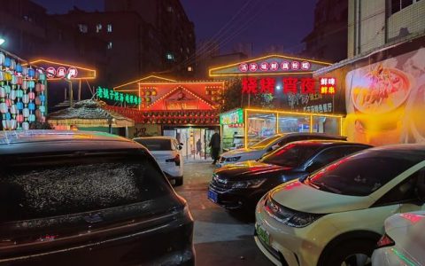 蹲点·常凯vlog | 湖北黄石：株树下夜市