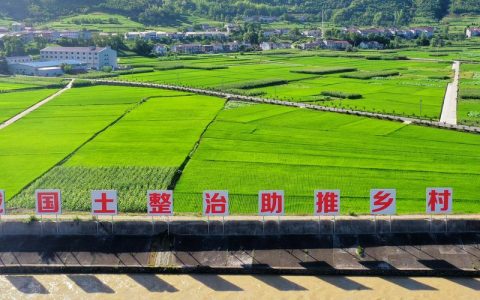 夯实耕地保护 赋能乡村振兴 咸安区淦河下游国土综合整治项目稳步推进