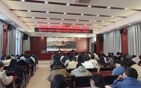 赤壁开展心理健康志愿服务培训 心理育人护航成长