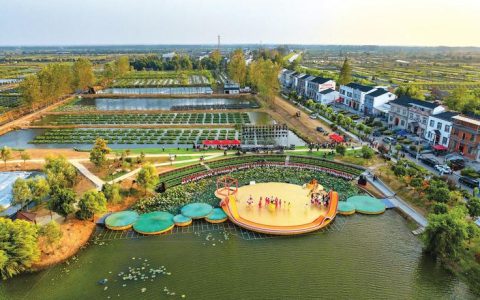 鳝行天下 乐动张沟