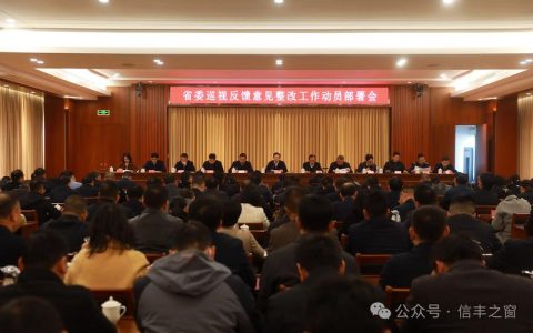 仙桃市委落实省委巡视反馈意见整改及群腐集中整治工作推进会召开