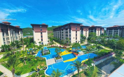 赵治平：深耕光电赛道反哺桑梓热土