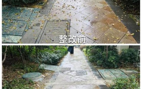 温情执法破解治理难题 广华寺街道让“脏乱差”角落焕新颜