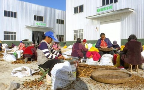 硬核助农！黄州好物借“云”出山