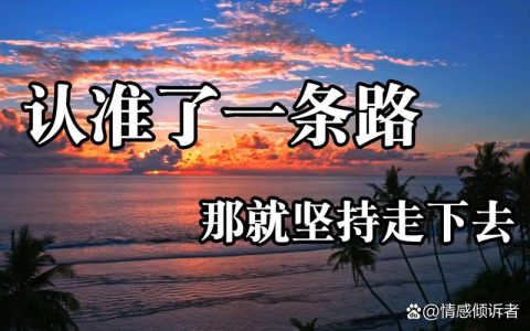 一心一意走自己的路