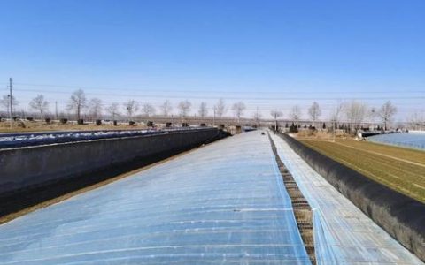 产销无缝对接   村民稳定增收 嘉鱼县陆溪镇大棚蔬菜直送企业“中央厨房”