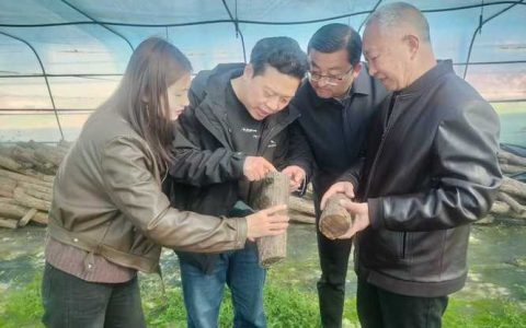 华中科技大学党外知识分子工作入选湖北省高校统战工作十大优秀案例