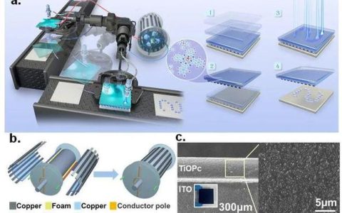 集成电路学院罗为张悦合作取得磁声耦合效应传感研究结果