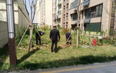 园林街道：纪检监督护航安全生产