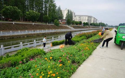 运粮湖管理区：闭环监督助力工程高质量推进
