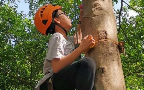 英山县长冲高级中学高一年级开展大思政研学之旅