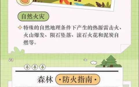 筑牢冬季森林防火屏障 咸宁消防多措并举