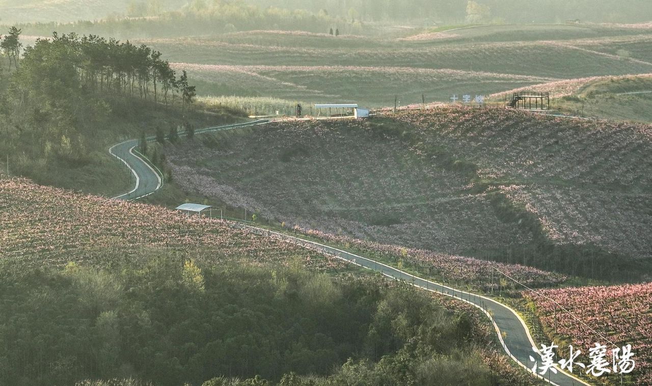 产业兴·枢纽强·城乡美·民生暖