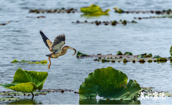 产业兴·枢纽强·城乡美·民生暖