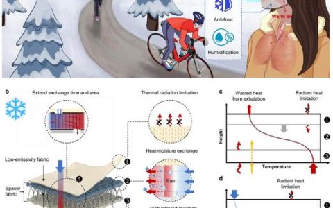 体育学院陶光明团队在数字化抗阻训练装备研发领域取得重要进展