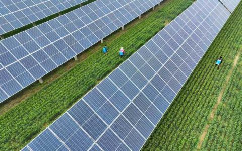 “渔光互补”绘新景 一地两用促增收