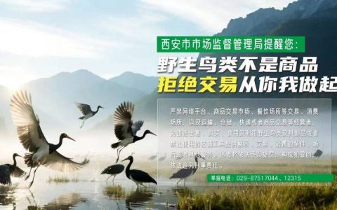 全市鸟类保护暨打击非法捕猎 贩卖陆生野生动物专项行动启动