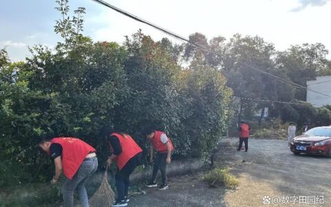 从“空心村”到“文明村” 泉丰村的蝶变之路