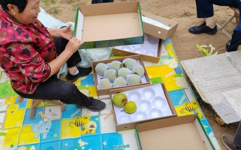 英山石头咀镇凉亭村“白果面”产销两旺