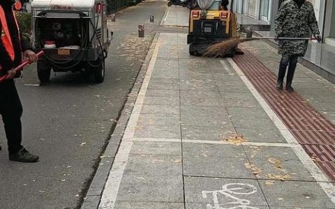 荆门街头实行“落叶缓扫”