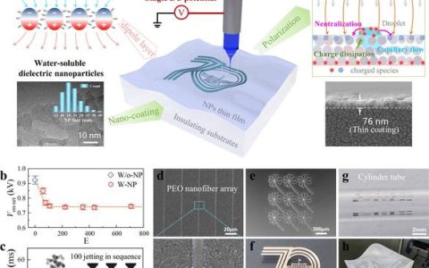 机械学院黄永安教授团队在仿生微纳结构制造领域取得新成果
