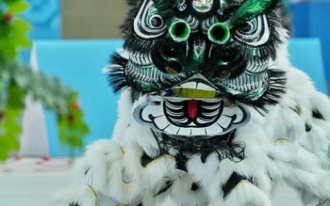 中南民族大学龙狮队全国赛场再获冠军 10名队员达标国家一级运动员