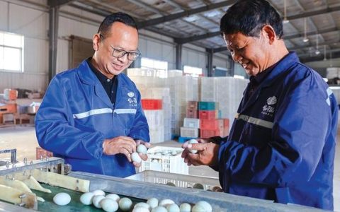 一枚沙湖咸蛋的“修炼”自白——百年工艺 光阴淬金