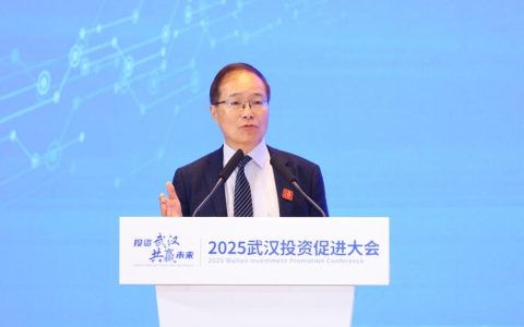 2025年度武汉投资促进大会举行