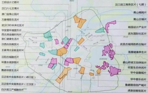 或首次落子、或四度追投，他们为何将未来布局武汉