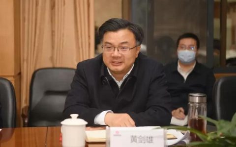 黄剑雄在点军区调研