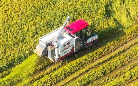 潜江：冬日丰收绘新景 激活农业新动能