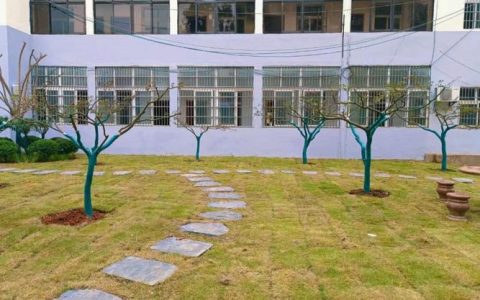 武穴街道刘家巷社区雨污管道改造惠民生