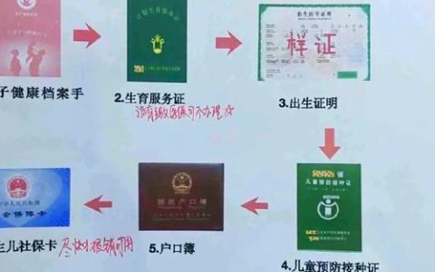 武穴暖心服务一站式办理外地新生儿证件