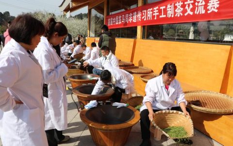 以赛砺技育工匠 茶韵匠心助振兴