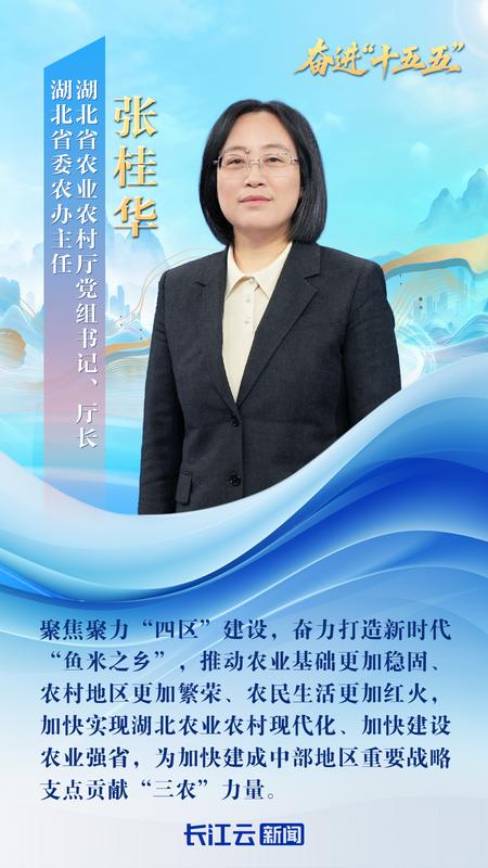 湖北省农业农村厅厅长张桂华：推动农业基础更加稳固 农村地区更加繁荣 农民生活更加红火
