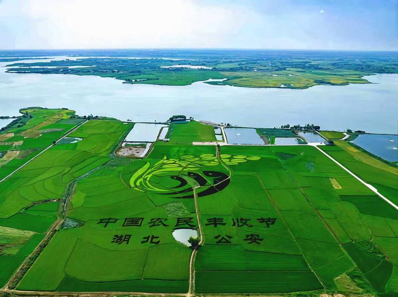 湖北省农业农村厅厅长张桂华：推动农业基础更加稳固 农村地区更加繁荣 农民生活更加红火