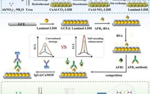 华中农业大学在Physaria属基因组组装与羟基脂肪酸高效合成机制解析领域取得新进展
