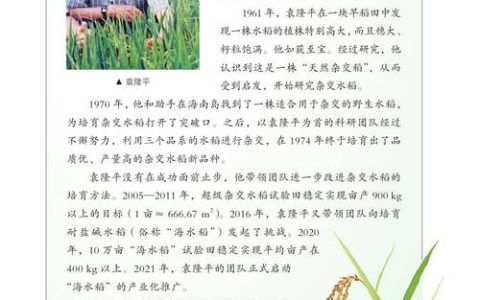 让水稻不再“怕热”，华农成果入选《科学》2025年度十大进展