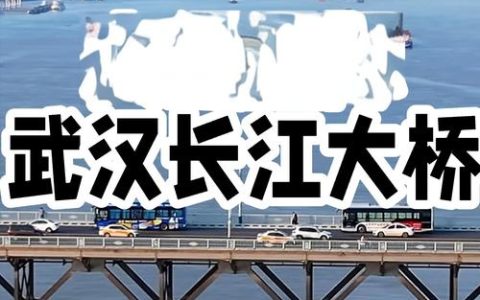 “桥见”武汉“江豚湾”——跨越天堑的生态答卷