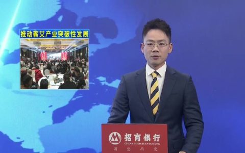 蕲春县蕲艾产业发展专场新闻发布会召开