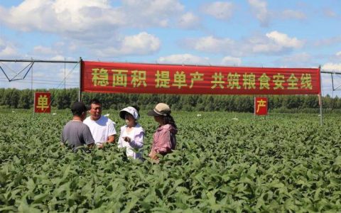 技术赋能冬田管护 蓄力来年丰产增收