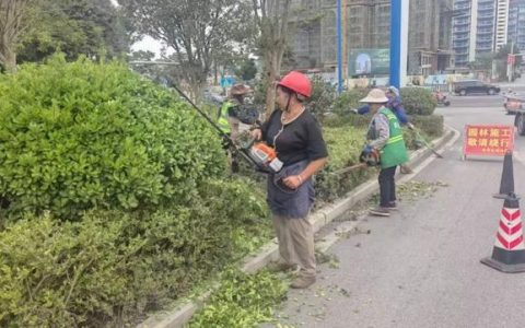 为树木“理发” 给绿地“梳妆” 黄梅园林精细管护迎双节