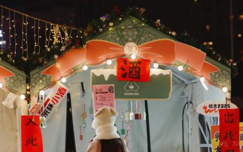 武汉一天有三场，今年逛展成日常