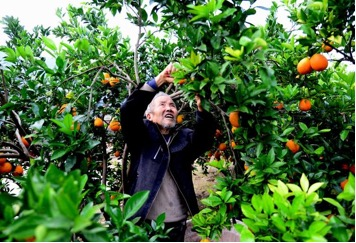 “智慧水脉”润万家——兴山县安澜惠民兴业的治水答卷