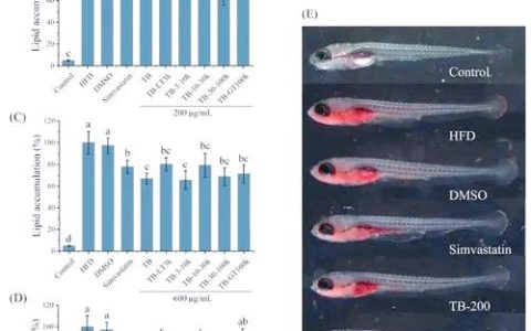 华中农业大学学者揭示斑马鱼早期造血分子机制
