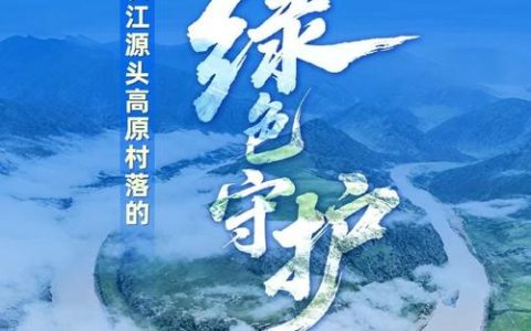 长江大保护十周年·百村蹲点调研行 | 千亩林场蕴生机 一江碧水润新海