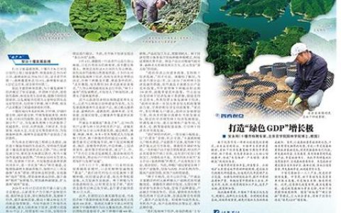 武当智库 | 十堰绿松石产业跃迁之道