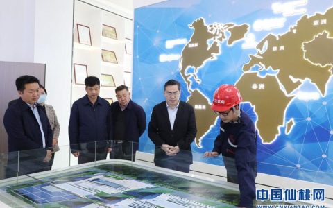 孙道军调研重点企业