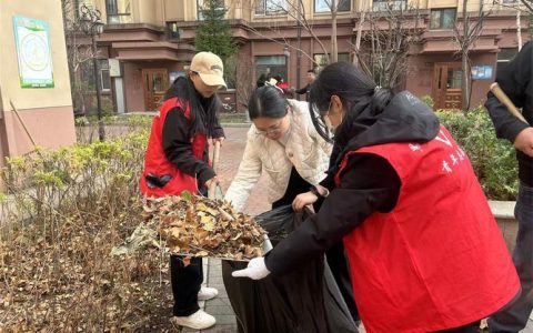 杨林尾镇全域推进清洁家园行动