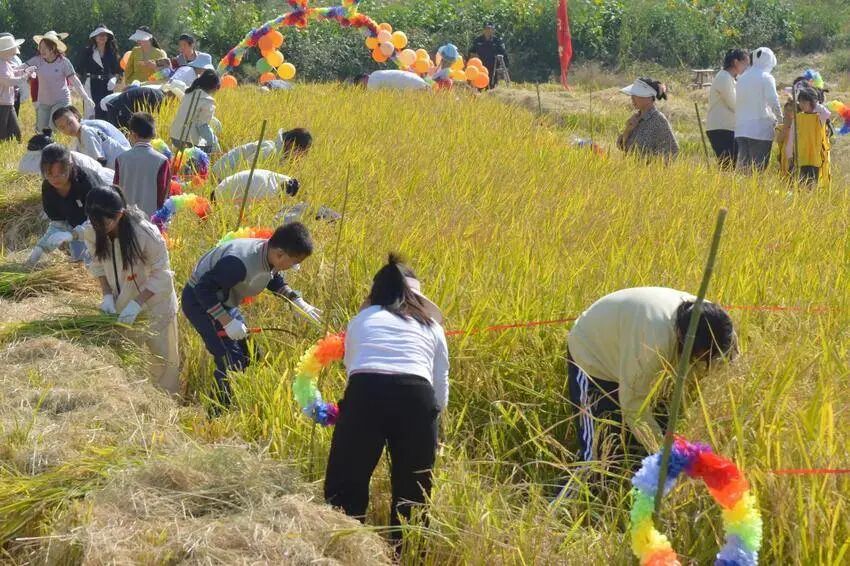 教育均衡 成长有护 从“有学上”到“上好学”